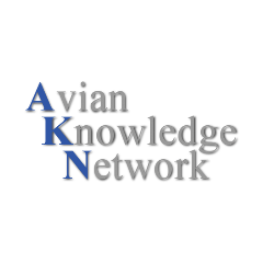 Avian Knowledge Network