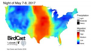 U.S. map showing various colors representing groups of migrating birds.