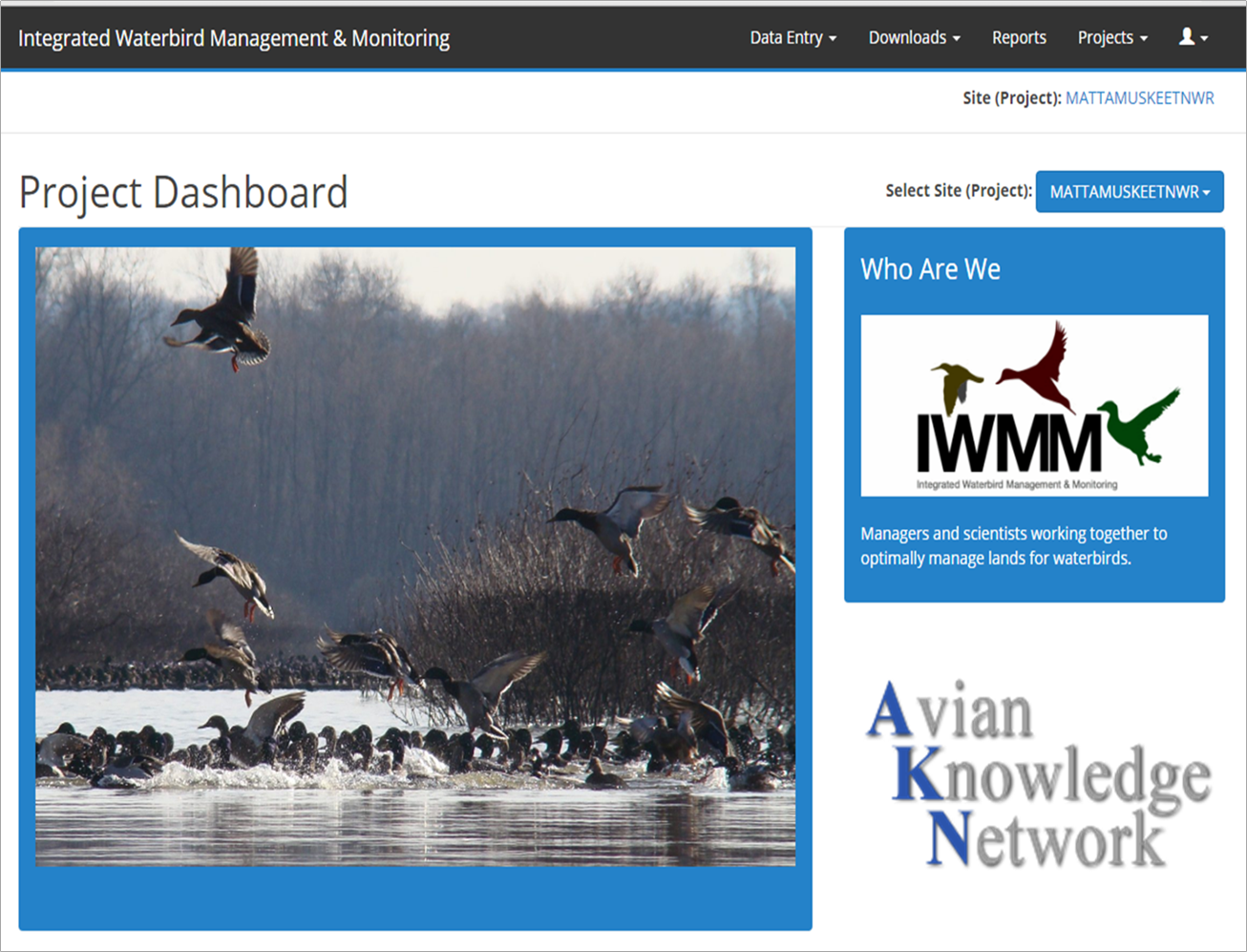 screen grab from IWMM-AKN website