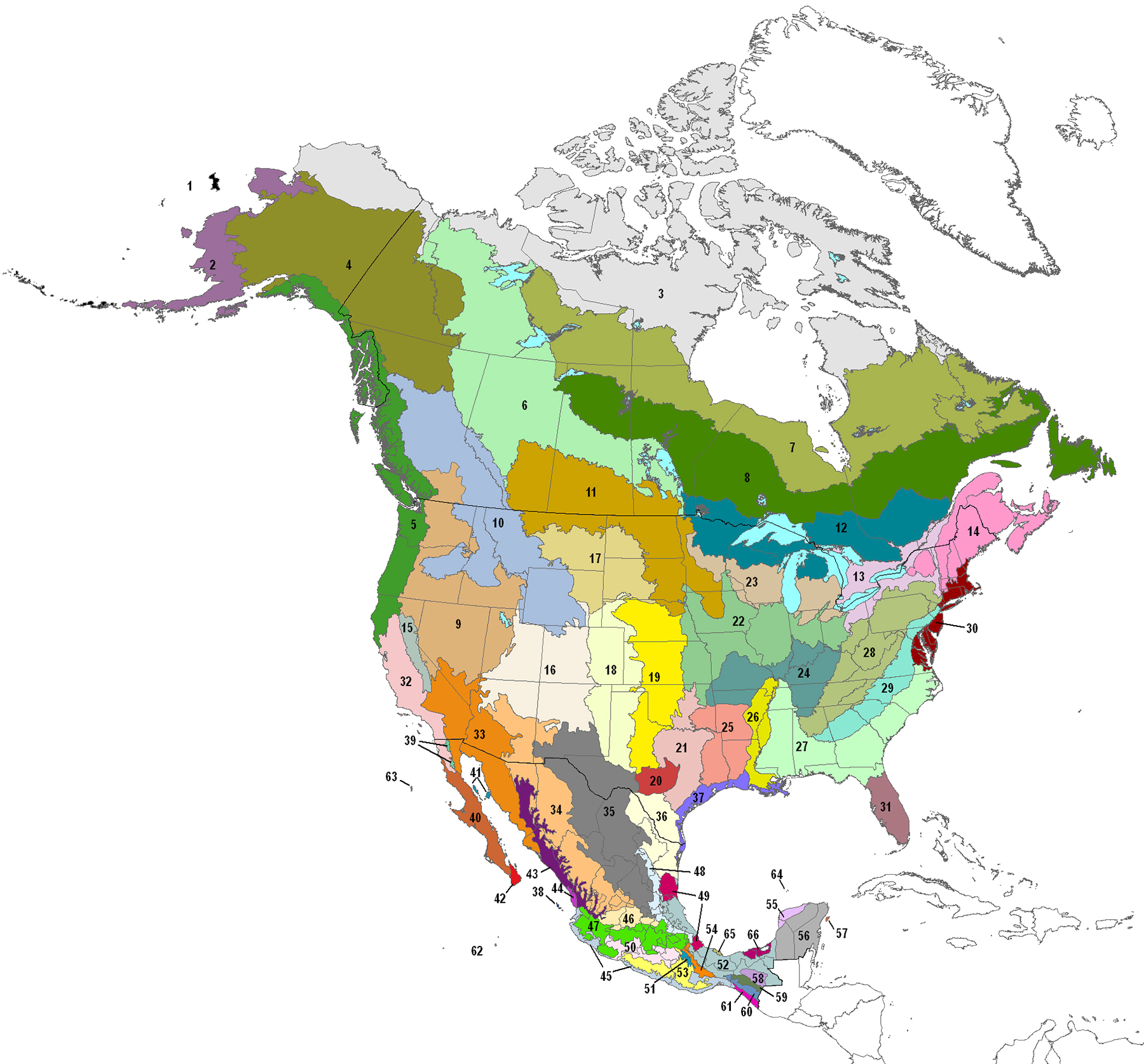 northwest coniferous forest map