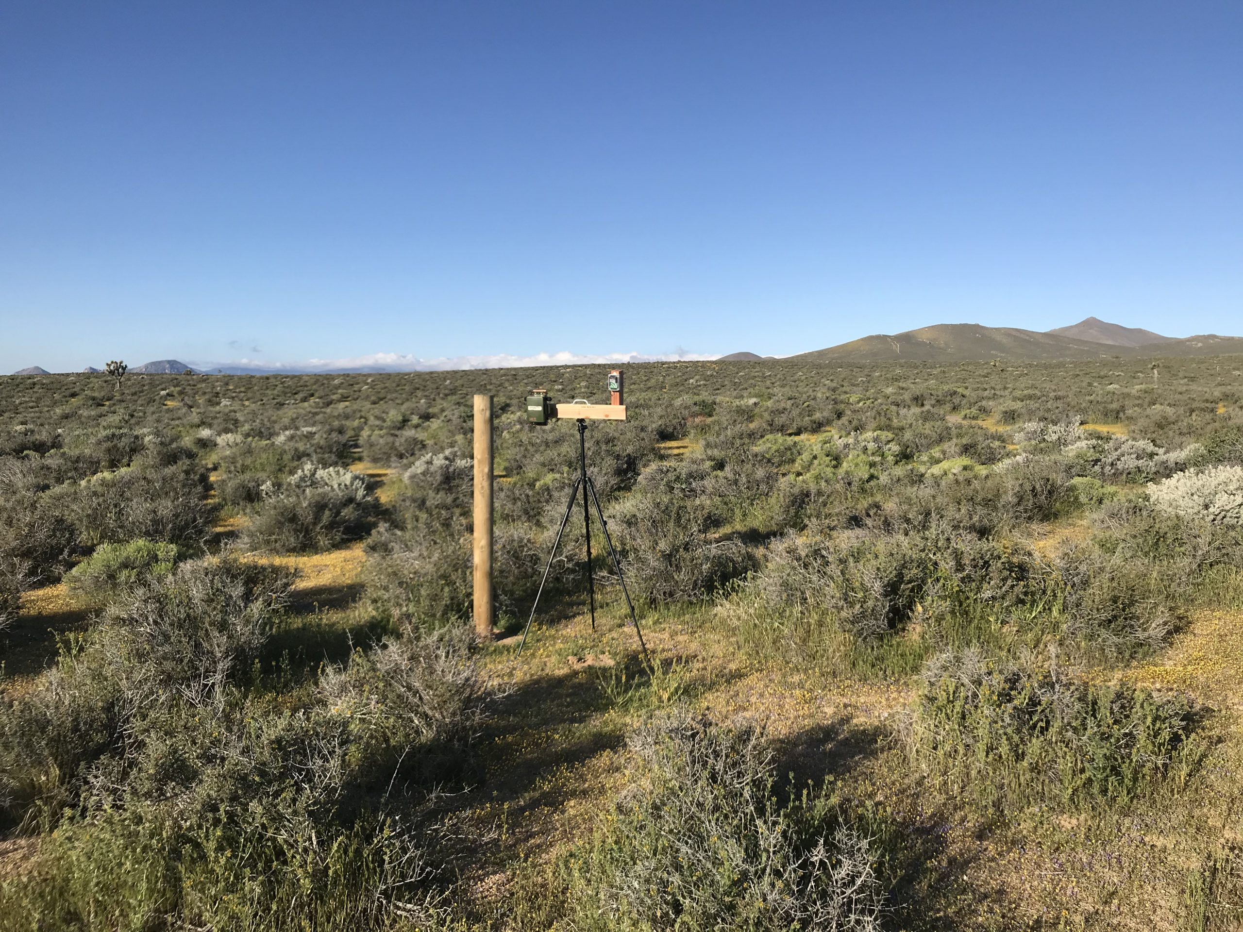 Two ARUs models deployed side by side at the Onyx Ranch State Vehicle Recreation Area outside of Bakersfield, CA. Photo courtesy of Shane Emerson/California State Parks.