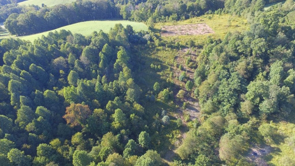 The same section of property in September 2020 after brush management had begun. Photo courtesy of Lee Harris at Eagle Eye Aerial Views.